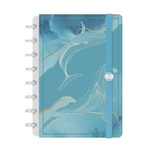 Iscool Disc Prime P Oceania Mar