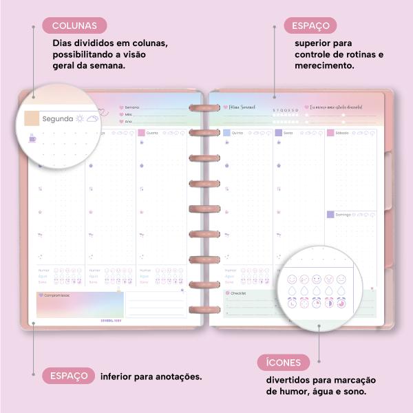 Planner De Disco Personalizado Iscool Disc Permanente Solid Touch Couro Rosa