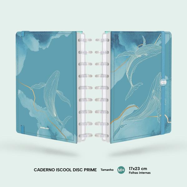 iscooldisc Prime Médio M+ Oceania Mar
