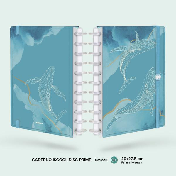 iscooldisc Prime Grande G+ Oceania Mar