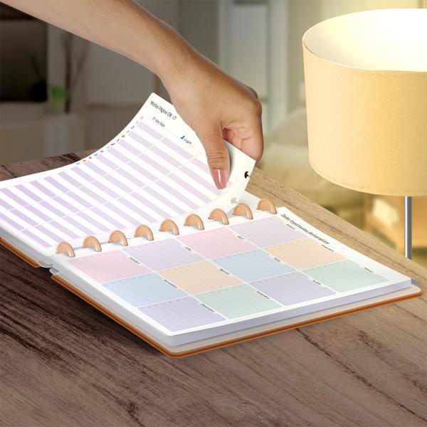 Iscool Disc Prime Planner Datado Solid Colors Nude