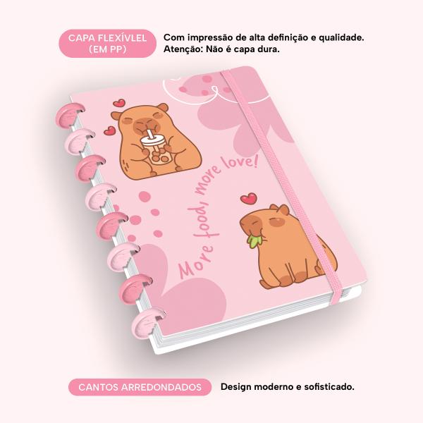Iscool Disc Flex Capivibes Love Rosa P