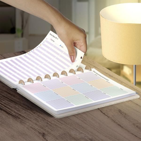 Iscool Disc Prime Planner Datado Entrepontos Araras